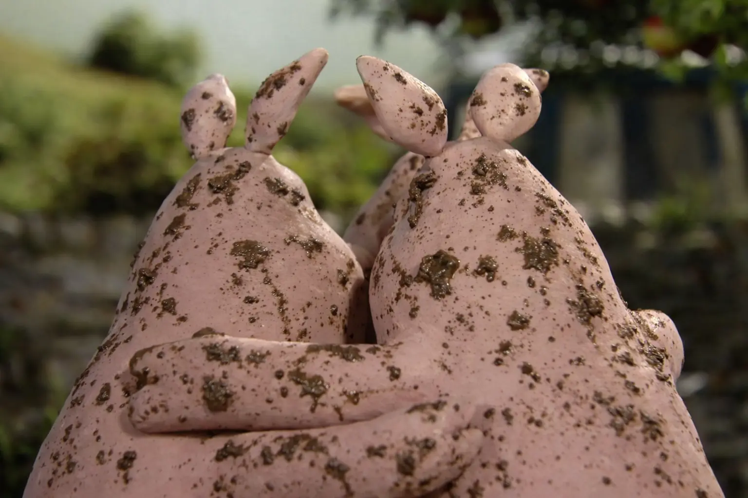 Porquinhos se abraçando na Natureza
